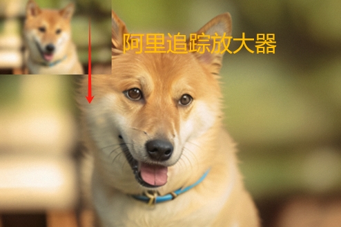 阿里追影放大镜